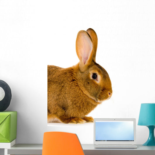Rabbit Wall Decal