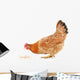 Hen and Grain Wall Decal