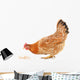 Hen and Grain Wall Decal