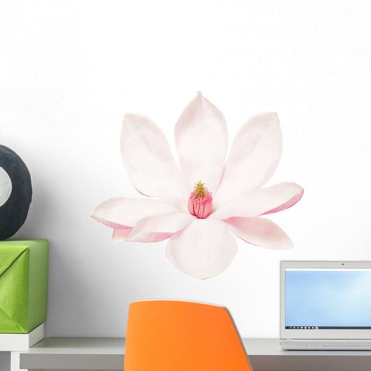 Delicate Spring Magnolia Wall Decal