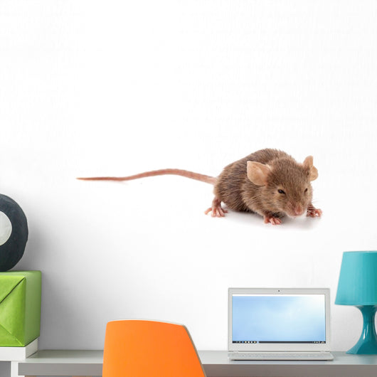 Small Mouse Wall Decal