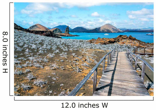 Galapagos Islands Wall Decal