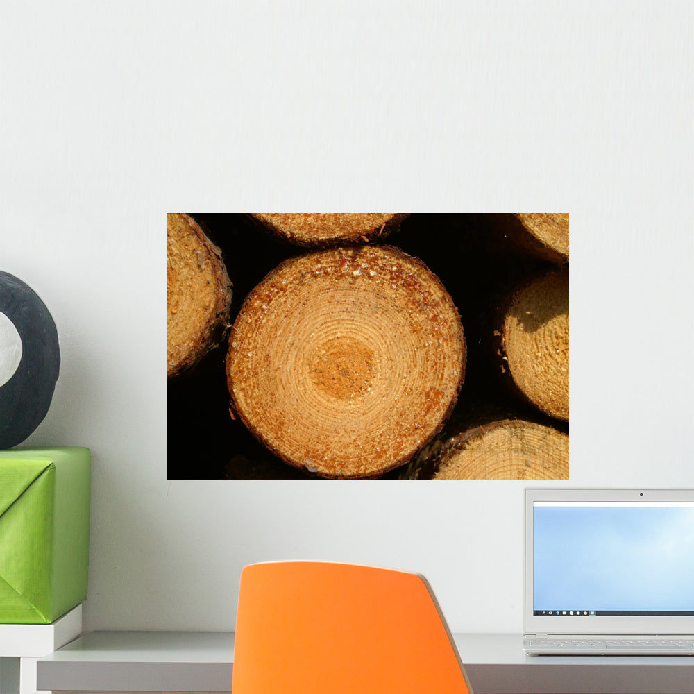 Pine Wood Wall Decal Wallmonkeys