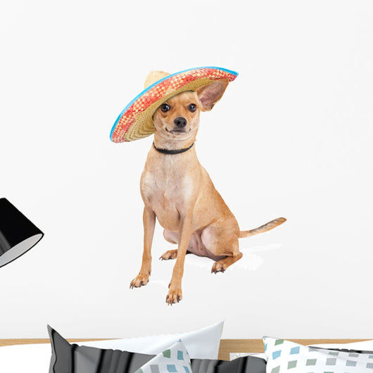 Cute Chihuahua Dog Wearing Wall Decal