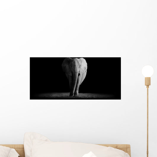 Elephant with Dark Wall Decal