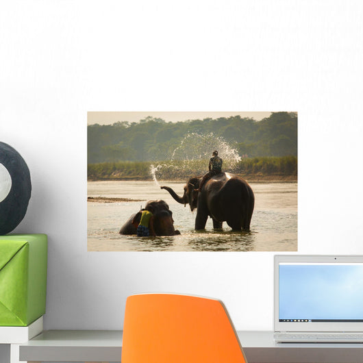 Man Washing His Elephant Wall Decal