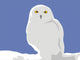 Bird Minerva Wall Decal