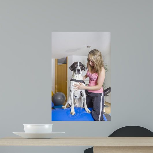 Tierklinik Wall Decal