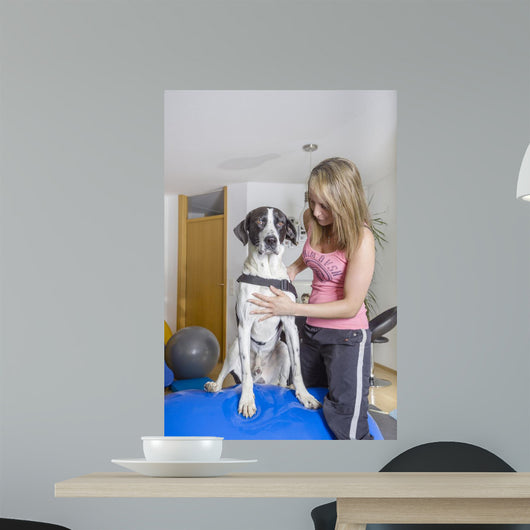 Tierklinik Wall Decal