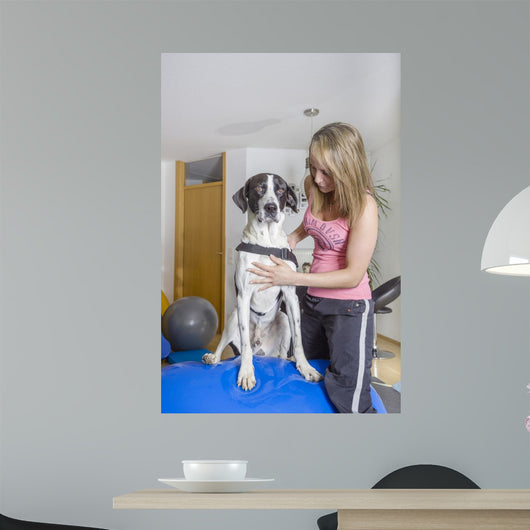 Tierklinik Wall Decal