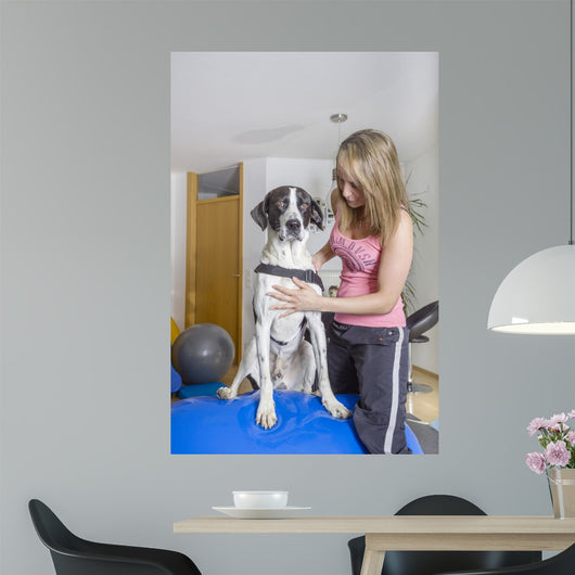 Tierklinik Wall Decal