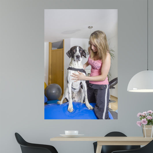 Tierklinik Wall Decal