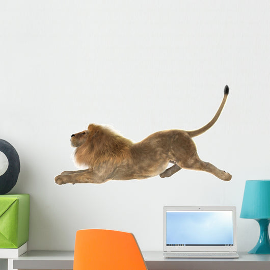 Male Lion Wall Decal Design 3