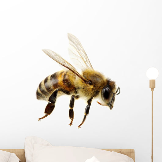 Bee Wall Decal Design 2