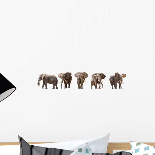 Five African Elephants Wall Decal Panoramic Wall Decal