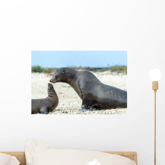 Sea Lion Mother and Wall Decal