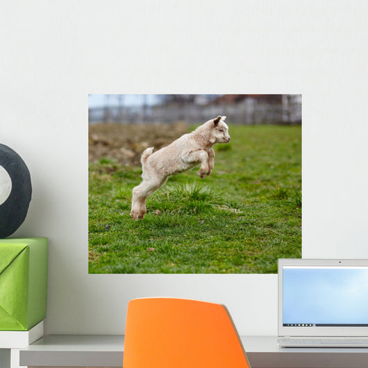 Baby Goat Jumping Wall Decal