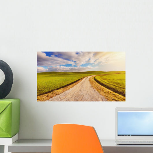 Beautiful Landscape with Road Wall Decal