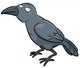 Vector Illustration Cartoon Crow Wall Decal