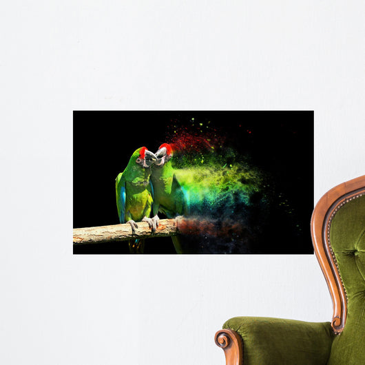 Parrot Bird Severe Macaw Wall Decal