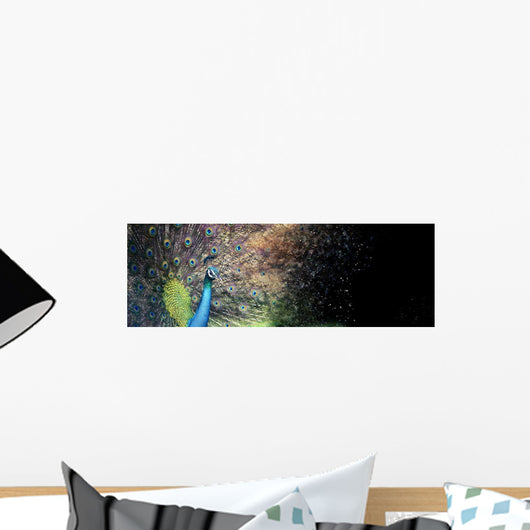 Peacock Wall Decal Panoramic Wall Decal