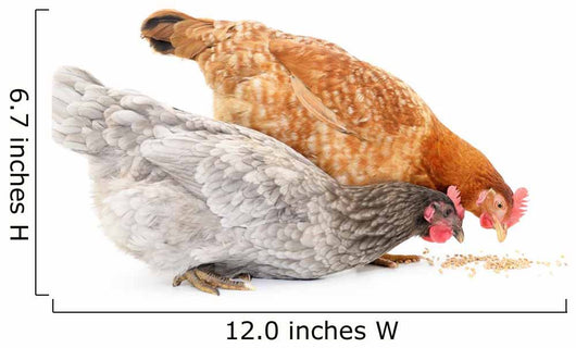 Two Hens and Grains Wall Decal