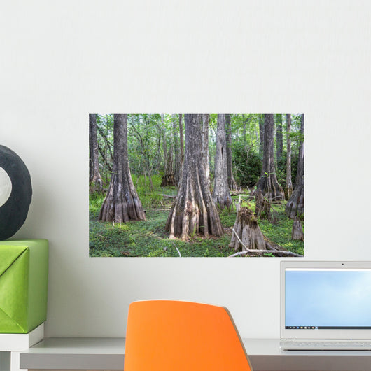 Big Cypress National Preserve Wall Decal