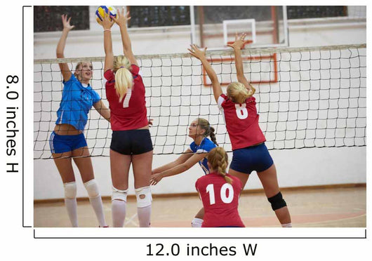 Volleyball Wall Decal Design 7