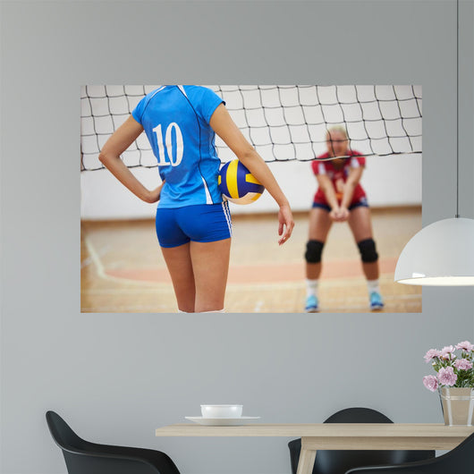 Volleyball Wall Decal Design 3