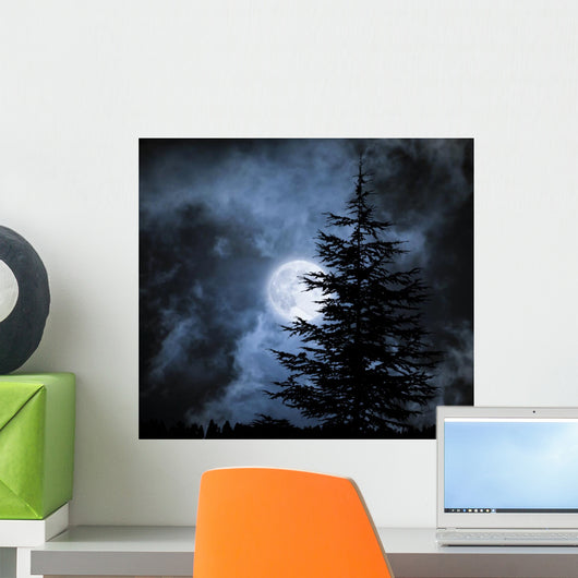 Nightly Sky with Large Wall Decal