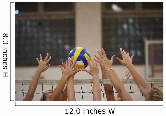 Volleyball Wall Decal Design 2