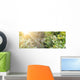 Spider's Web Wall Decal Panoramic Wall Decal