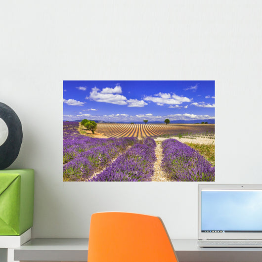 Violet Rows Blooming Lavender Wall Decal