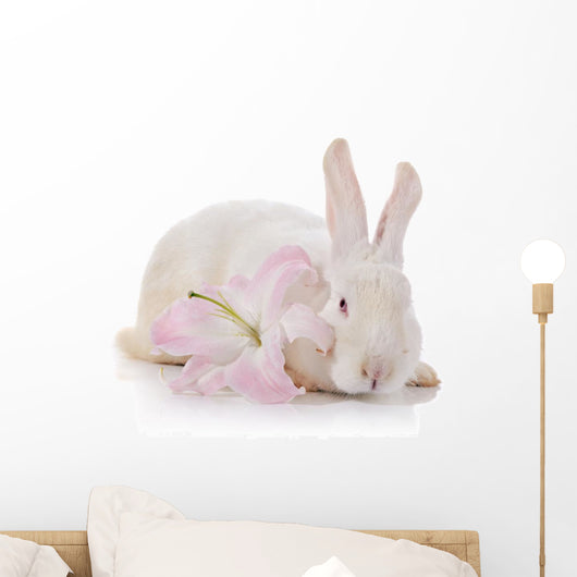 White Rabbit and White-pink Wall Decal