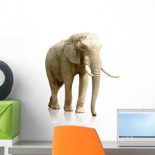 Rear Elephant White Wall Decal