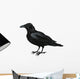Raven Vector Wall Decal