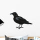 Raven Vector Wall Decal