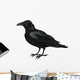 Raven Vector Wall Decal