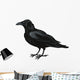 Raven Vector Wall Decal