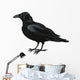Raven Vector Wall Decal