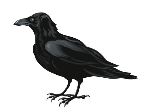 Raven Vector Wall Decal