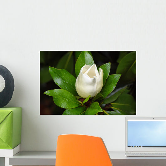 Magnolia Blossom Wall Decal