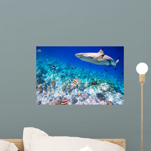 Tropical Coral Reef Wall Decal