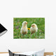 Two Young Chickens Wall Decal