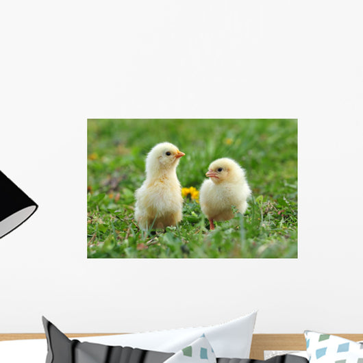 Two Young Chickens Wall Decal