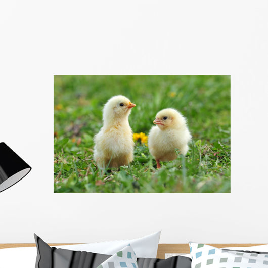 Two Young Chickens Wall Decal