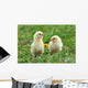 Two Young Chickens Wall Decal