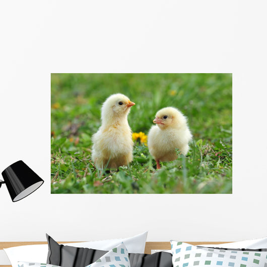 Two Young Chickens Wall Decal