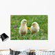 Two Young Chickens Wall Decal