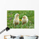 Two Young Chickens Wall Decal